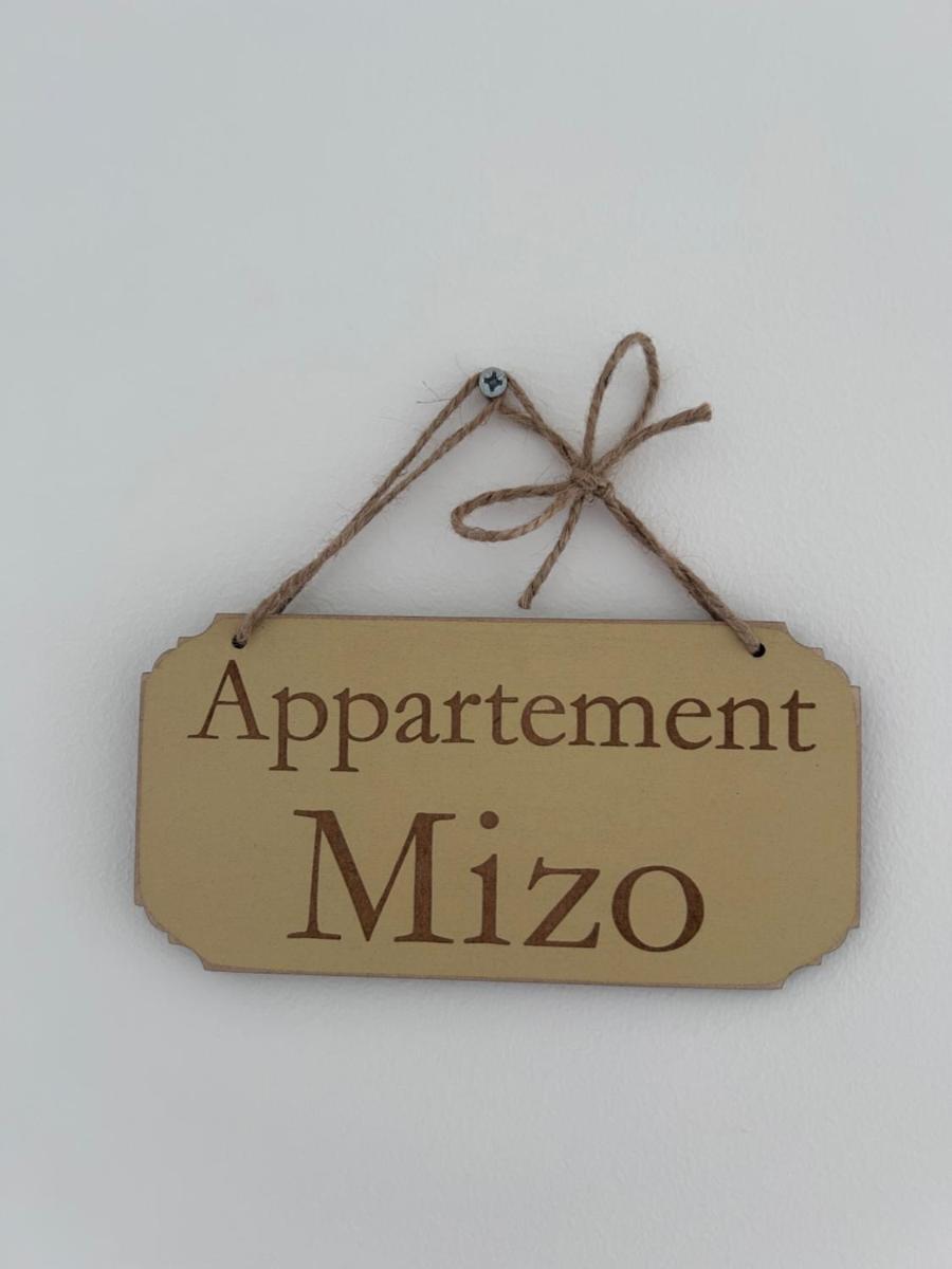 Appartement proche zenith "mizo"