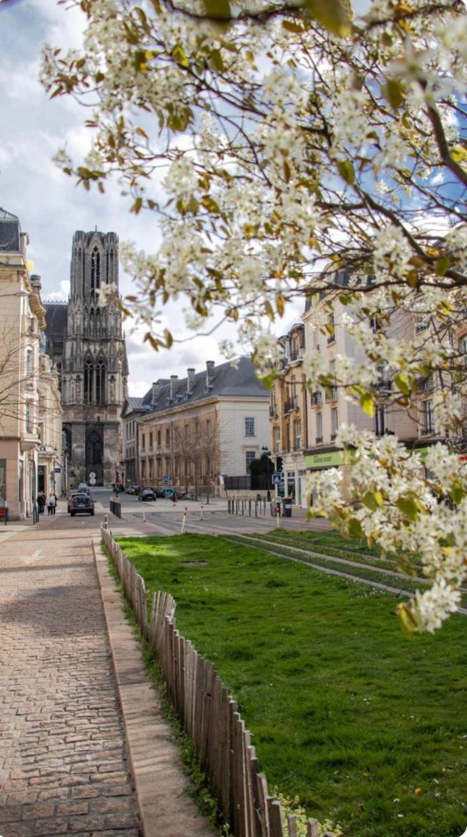 Appartement au pied de la Cathédrale - Reims Centre