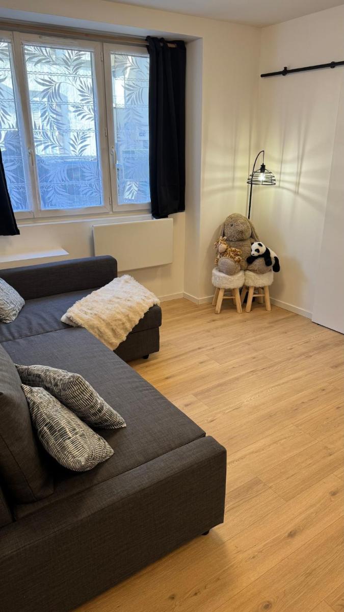 Confort au Mont-Dore & Animaux Admis