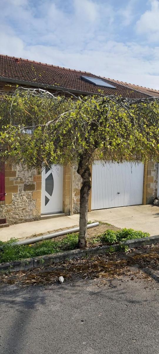 Gîte Betula