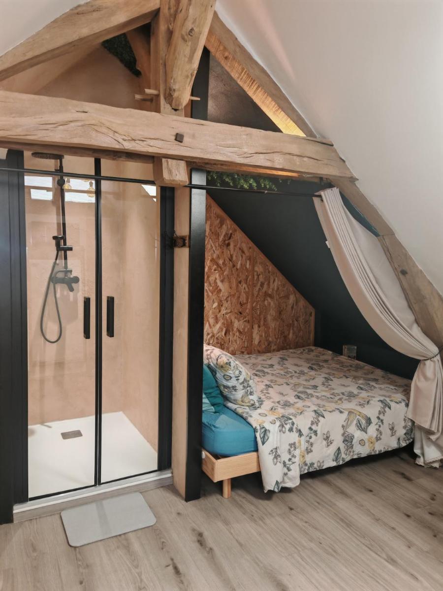 Le refuge du chat endormi
