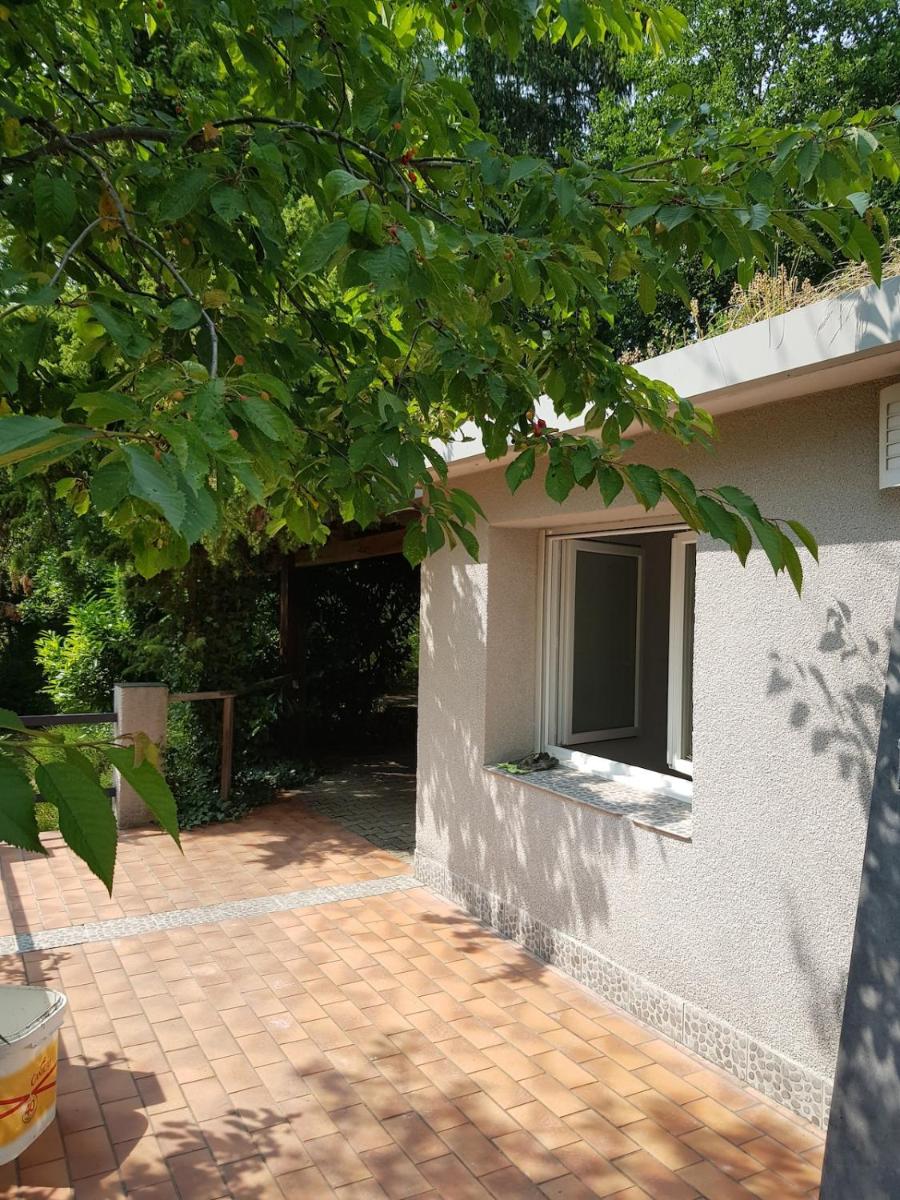 GITE BAS-EN-BASSET, HAUTE-LOIRE, MAISON et JARDIN ATYPIQUE PLEINE NATURE