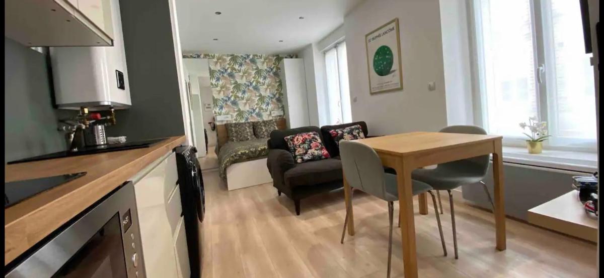 Studio 25m2 climatisé-parking privé - Lycée Roosevelt - Arena - Gare